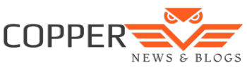 Newsexo logo